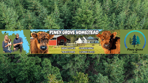 Piney Grove Homestead channel image