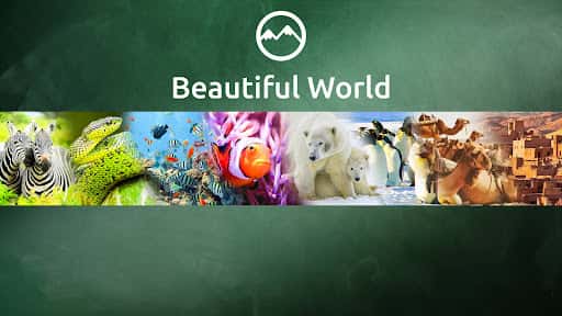 Beautiful World - Documentaries channel banner