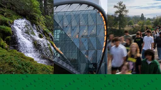 University of Oregon channel image