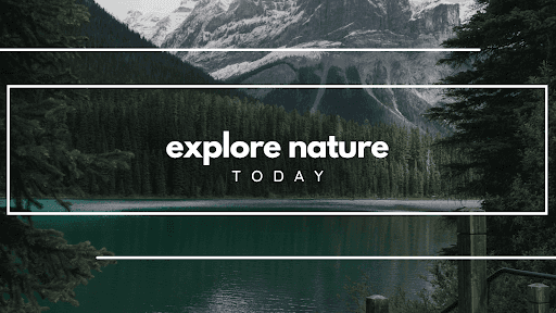 Explore Nature Today channel banner