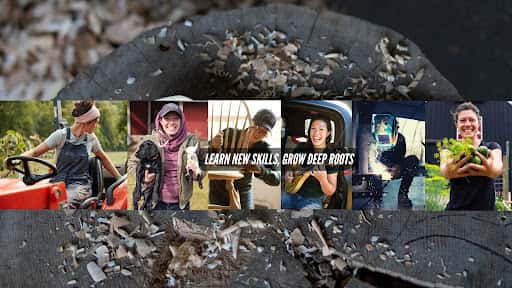 Anne of All Trades channel banner
