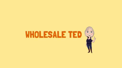 Wholesale Ted channel image