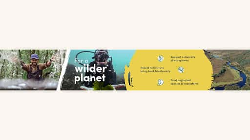 Mossy Earth channel banner