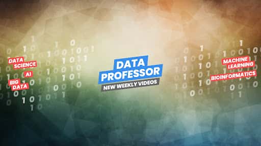 Data Professor channel image