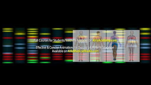 Alila Medical Media channel banner
