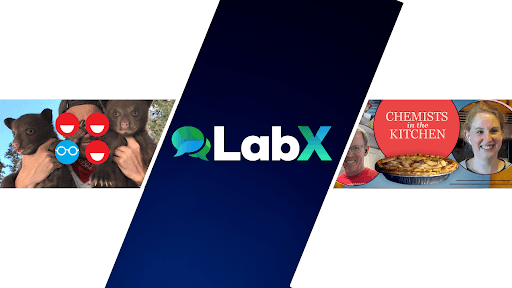 LabX channel image