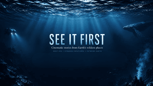 See It First channel image