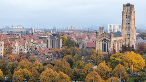 UChicago Social Sciences channel banner