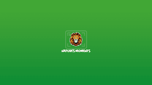 Nature's Moments channel image