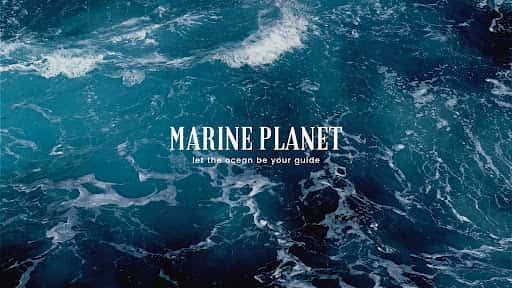 Marine Planet channel banner