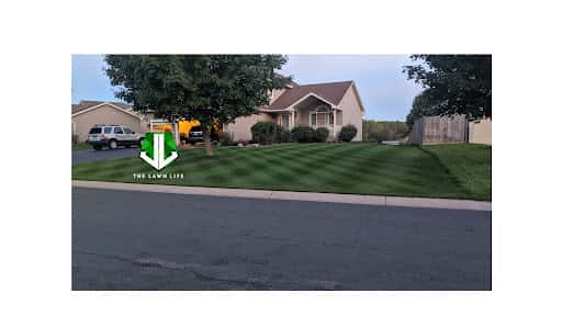 LAWN LIFE channel image