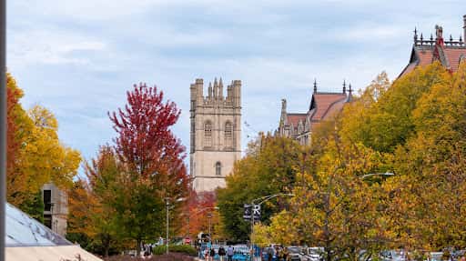The University of Chicago channel image