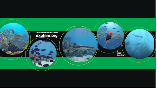 Explore Oceans channel banner