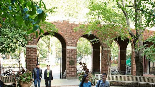 NYU School of Law channel banner