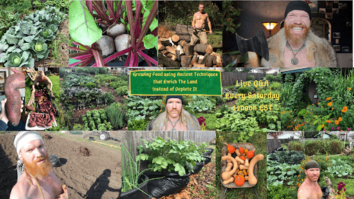 Garden Like a Viking channel image