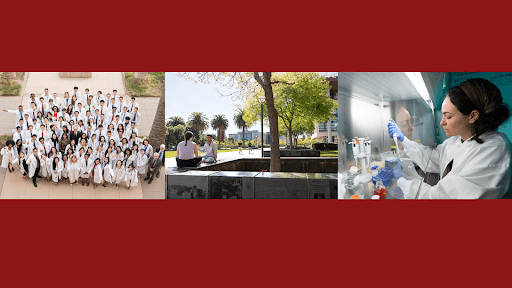 Stanford Medicine channel image