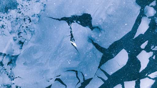 Alluring Arctic channel banner