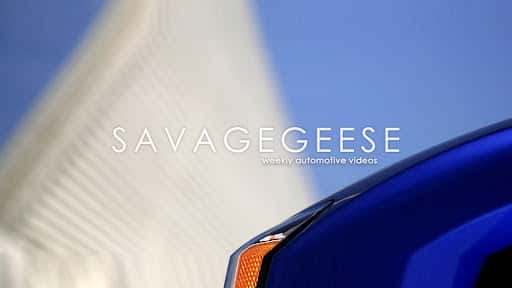 savagegeese channel banner