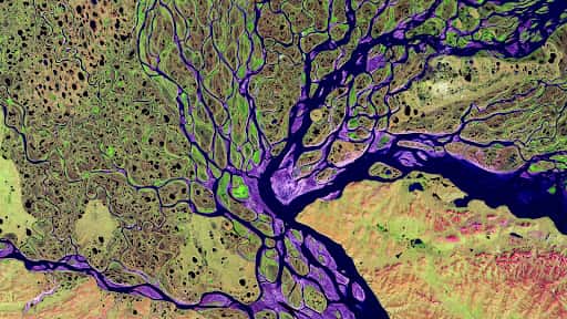 The Geological Society channel image