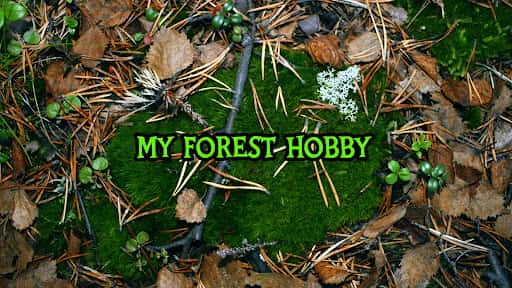 My Forest Hobby channel banner