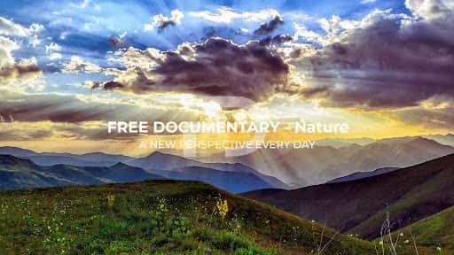Free Documentary - Nature channel image