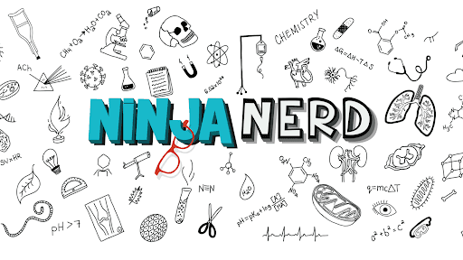 Ninja Nerd channel banner