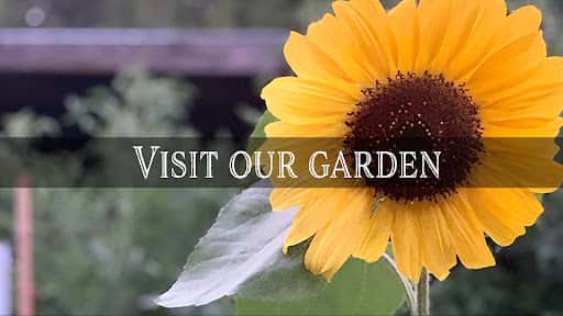 Visit Our Garden channel image