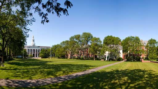 Harvard Business School channel banner