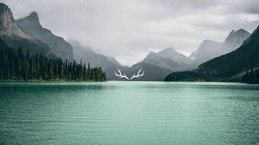 WANDER OFF-ROAD channel image
