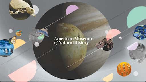 American Museum of Natural History channel banner