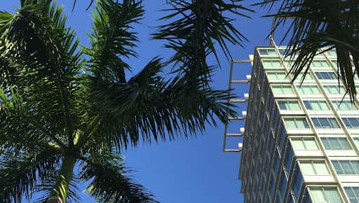 University of Miami Department of Medicine channel banner