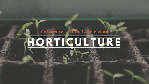 University of Illinois Extension Horticulture channel banner